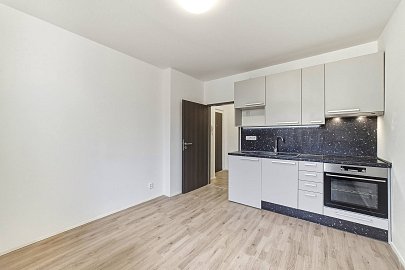 Prodej bytu 1+kk 22 m², V zahradách, Praha-Libeň