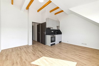 Prodej bytu 1+kk 26 m², V zahradách, Praha-Libeň